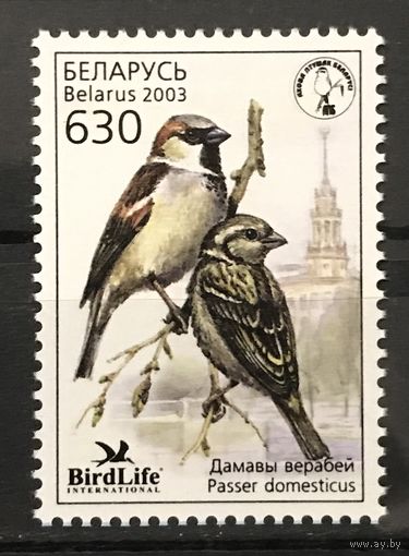 2003 Птица года в Беларуси - Домовый воробей