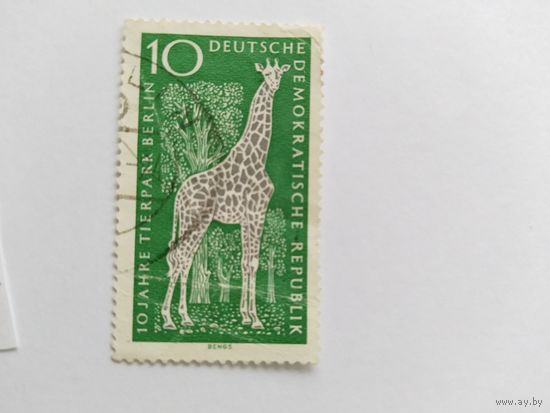 ГДР  1965 жираф
