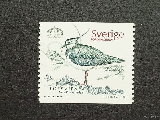 Швеция 2001. Птицы