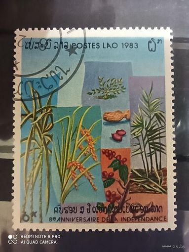 Лаос.1983, продовольственная программа, культурные растения