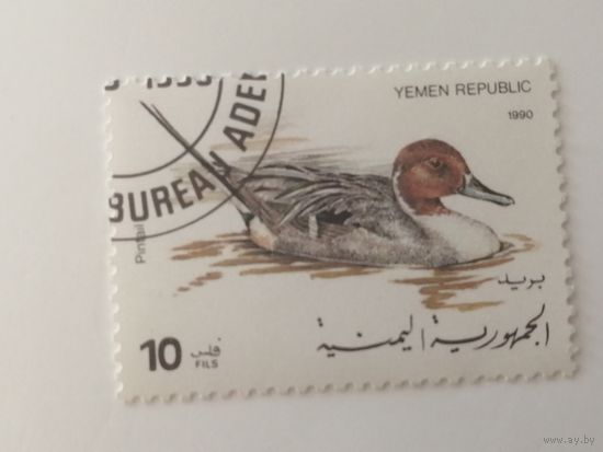 Йемен 1990. Птицы