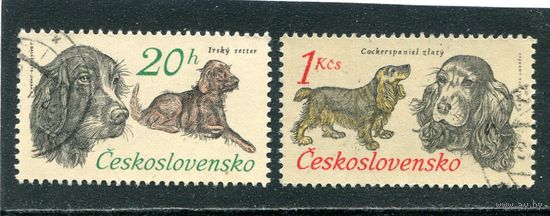 Чехословакия. Породы собак