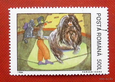Румыния. Цирк. ( 1 марка ) 1994 года.