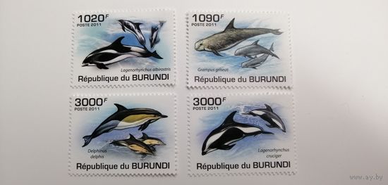 Бурунди 2011. Морская Жизнь - Дельфины. Полная серия