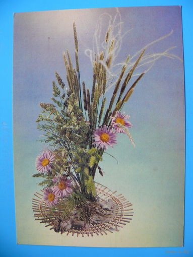 Гуков В.(фото), Ланина Е.(композиция), Цветы, 1984, чистая.