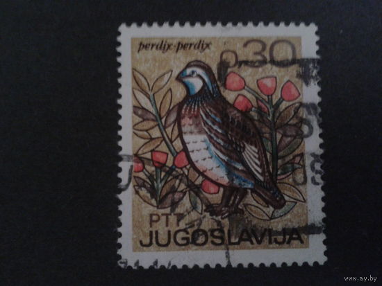 Югославия 1967 птица