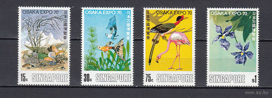 Фауна. Птицы. Сингапур. 1970. 4 марки.  Michel N 112-115 (25,0 е)