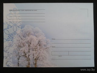2007 не маркированный конверт Зима