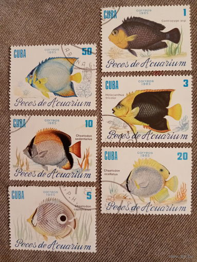 Куба 1985. Морские рыбы