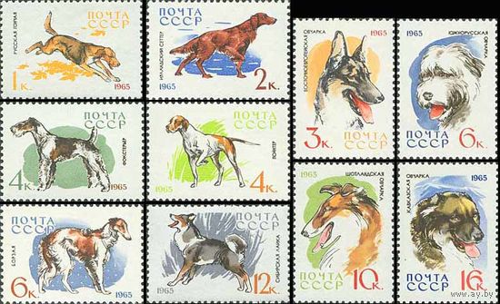 Собаки СССР 1965 год (3162-3171) серия из 10 марок