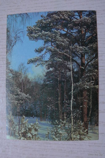 Самсоненко Н., Зимний день в сосновом лесу; 1990, чистая.