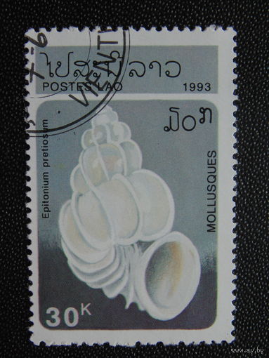 Лаос 1993 г. Ракушка.