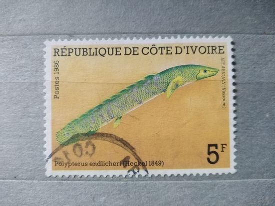 Кот-Дивуар.1986г. Фауна