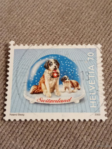 Швейцария 2000. Горная поисковая собака