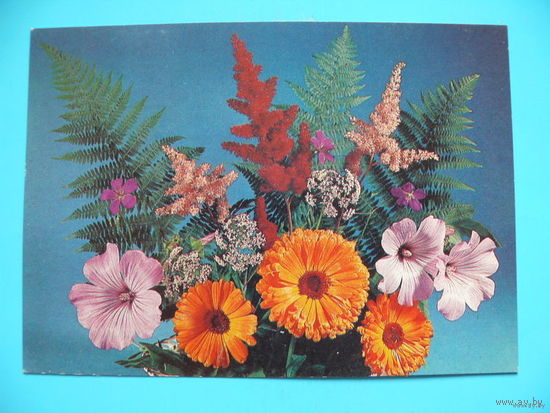 Круцко Б.(фото), Цветы, 1989, 1990, чистая.
