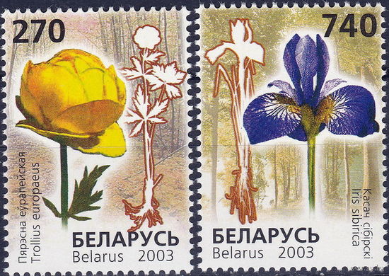 Беларусь 2003  Красная книга.Цветы