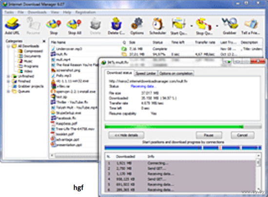 IDM 1 Year - Internet Download Manager 1 User