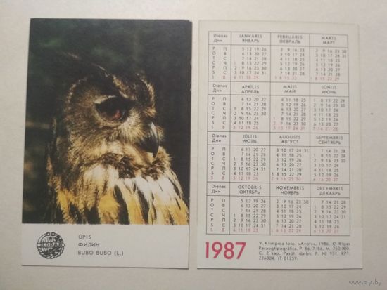 Карманный календарик. Птица Филин. 1987 год