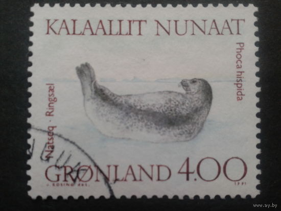 Дания Гренландия 1991 тюлень