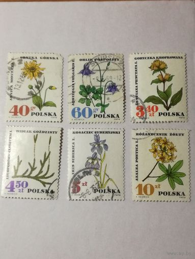 Польша 1967. Лекарственные цветы. Полная серия