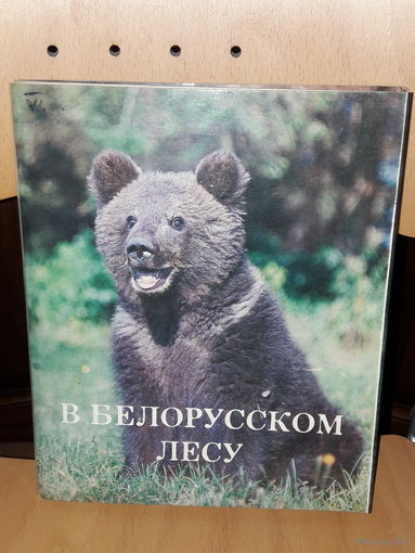 Книжка-игрушка СССР  "В белорусском лесу" 1987 год.