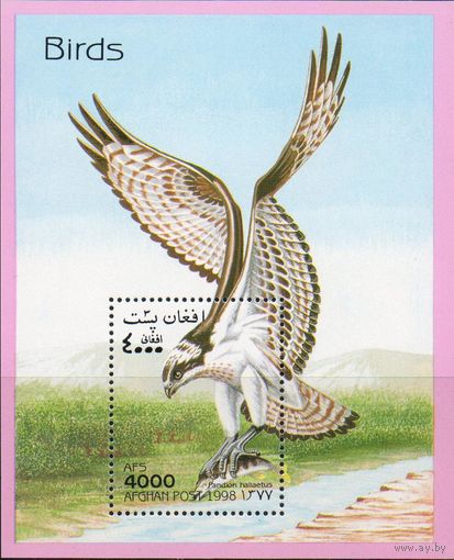 Хищные птицы Афганистан 1998 год 1 блок
