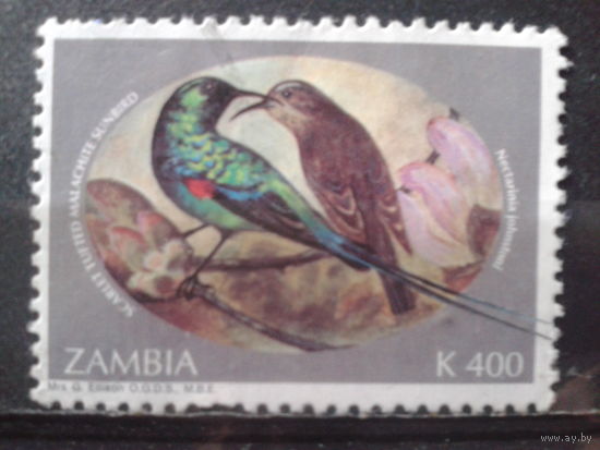 Замбия 1994 Птицы Михель-2,0 евро гаш