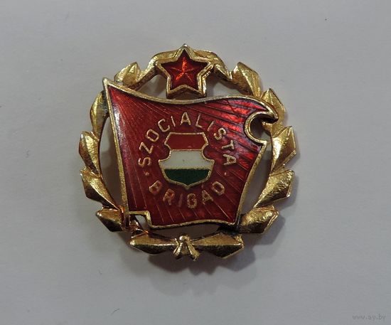 Значок "Szocialista brigad" 60-е годы Венгрия. Латунь.