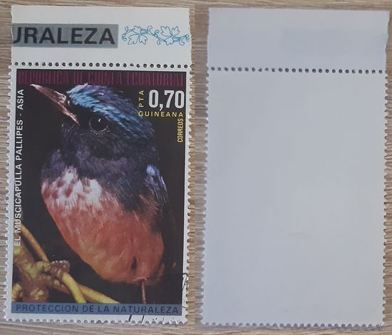 Экваториальная Гвинея 1976 Азиатские птицы. Нилтава Сундара