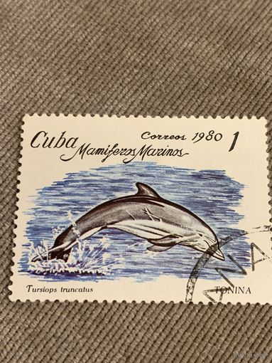 Куба 1980. Дельфины. Tursiops truncatus. Марка из серии