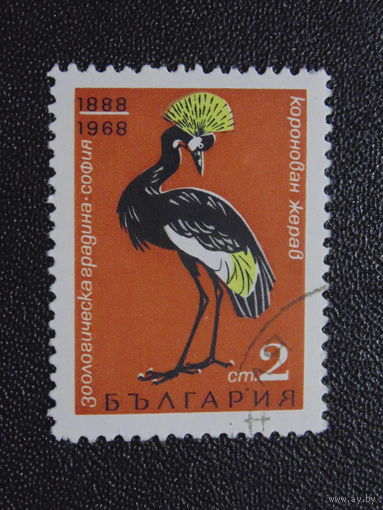 Болгария 1968 г. Венценосный журавль.