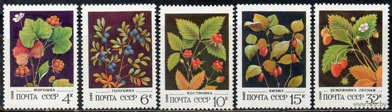 Ягоды СССР 1982 год (5273-5277) серия из 5 марок