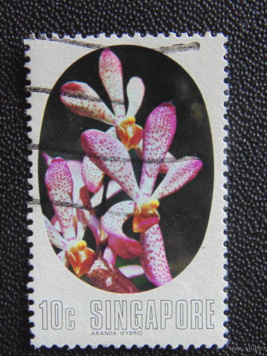 Сингапур 1976 г. Цветы.