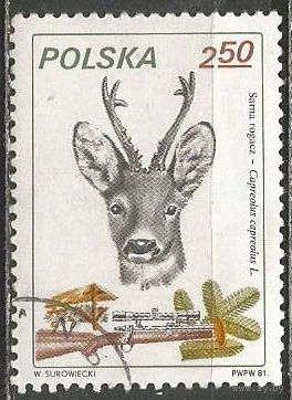 Польша. Европейская косуля. 1981г. Mi#2748.