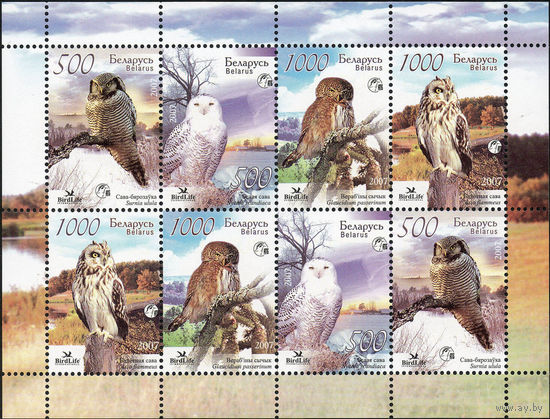Совы Беларусь 2007 год (698-701) серия из 4-х марок в малом листе