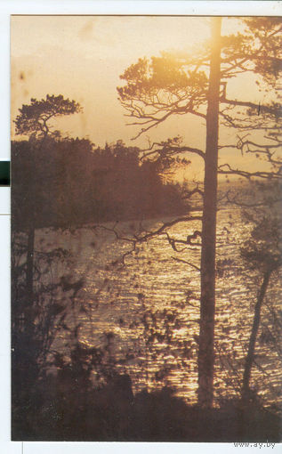 Природа. Закат. Фото А. Погорельского. 1985 год
