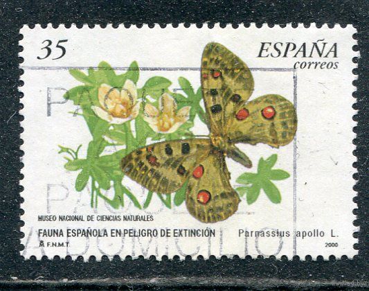Испания. Бабочки
