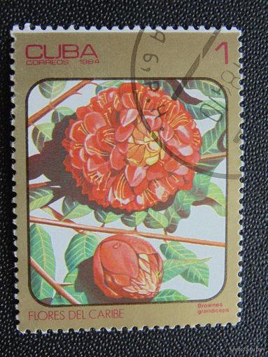 Куба 1984 г. Флора.