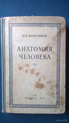 Н.В. Колесников Анатомия человека.  1955 год