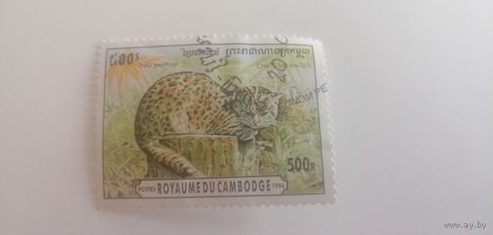 Камбоджа 1996. Дикие кошки