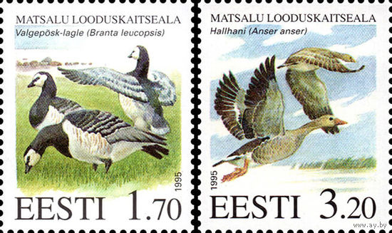 Птицы Матсалуский национальный парк Эстония 1995 год серия из 2-х марок