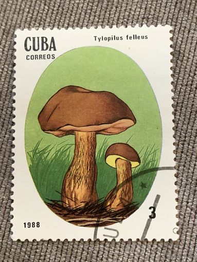Куба 1988. Грибы. Tylopilus felleus. Марка из серии