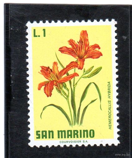 Сан-Марино. Ми-984. Дейлили (Hemerocallis hybrida). Серия: Цветы. 1971.