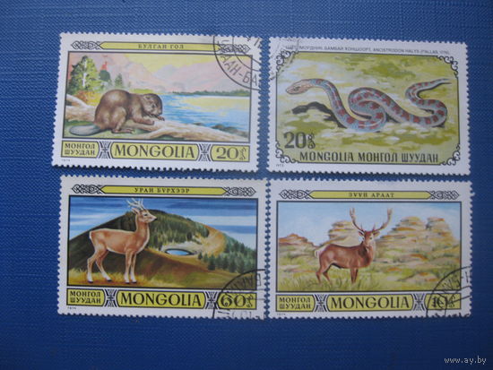 Монголия фауна