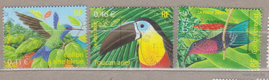 Птицы Фауна Франция 2003 год лот 1077