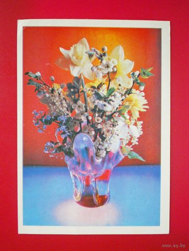 Костенко П. цветы 1981г. подписана