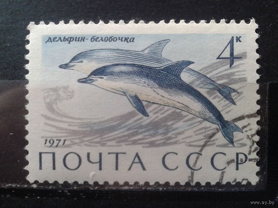 1971 Дельфины