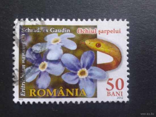 Румыния 2012 цветы