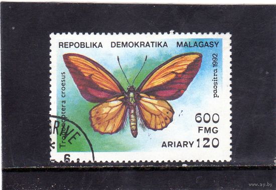 Мадагаскар. Mi:MG 1371. Бабочка - Золотая птица Уоллеса (Trogonoptera croesus). 1992.