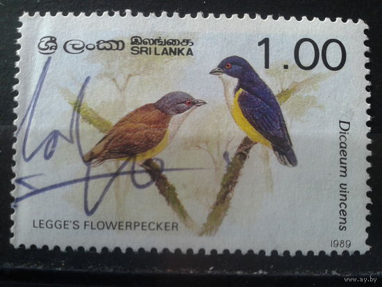 Шри-Ланка 1989 Птицы